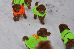 42063e_0c40c82f83434b5587a6b5ea5103ed77mv2