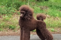 42063e_820c54bf488146eea654383999c6e784mv2