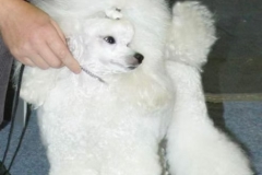 42063e_cbaa8883f65e41568bbac75710d5b925mv2