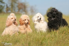 42063e_e59fb15559034f1f9b28a22f65468443mv2