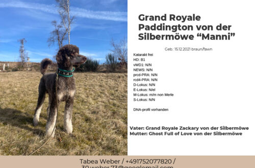 1754137251181-55f68af4-ff37-4f9c-93e0-780e73c840cc_1-1